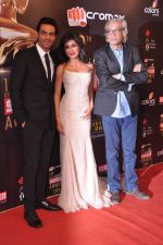 Arjun Rampal, Chitrangada Singh, Sudhir Mishra at Screen Awards red carpet in Mumbai on 12th Jan 2013 (499).JPG